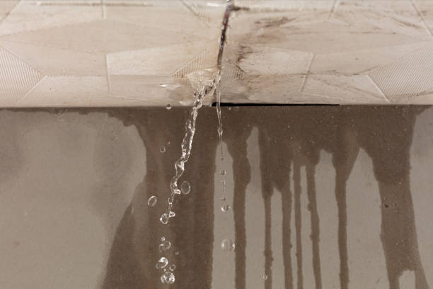 Professional Flood Damage Cleanup technician working in Custar, OH